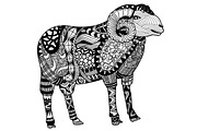 Ram Sheep Drawing