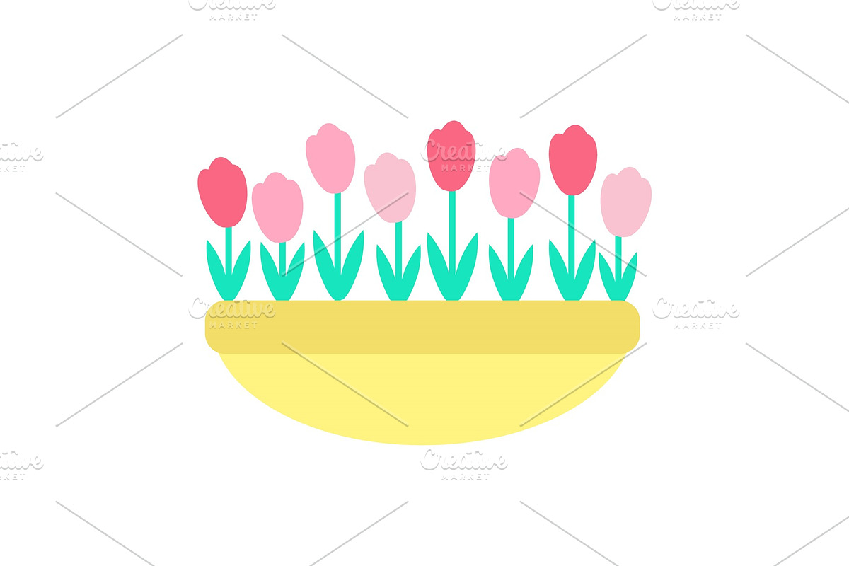 Tulips Grown in Clay Pot Vector in Illustrations - product preview 8