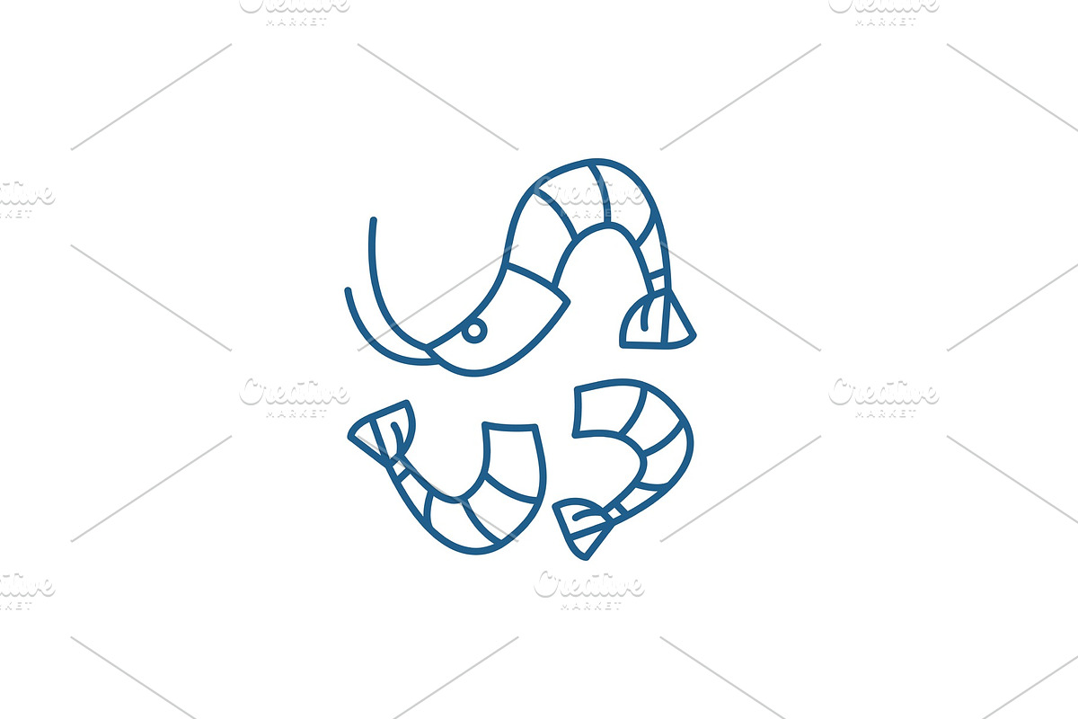 Shrimp line icon concept. Shrimp in Illustrations - product preview 8