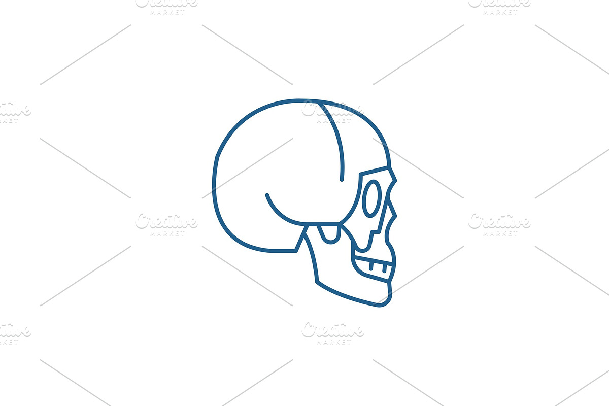 Skull side view line icon concept in Objects - product preview 8