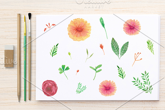 Watercolor plants collection in Illustrations - product preview 2