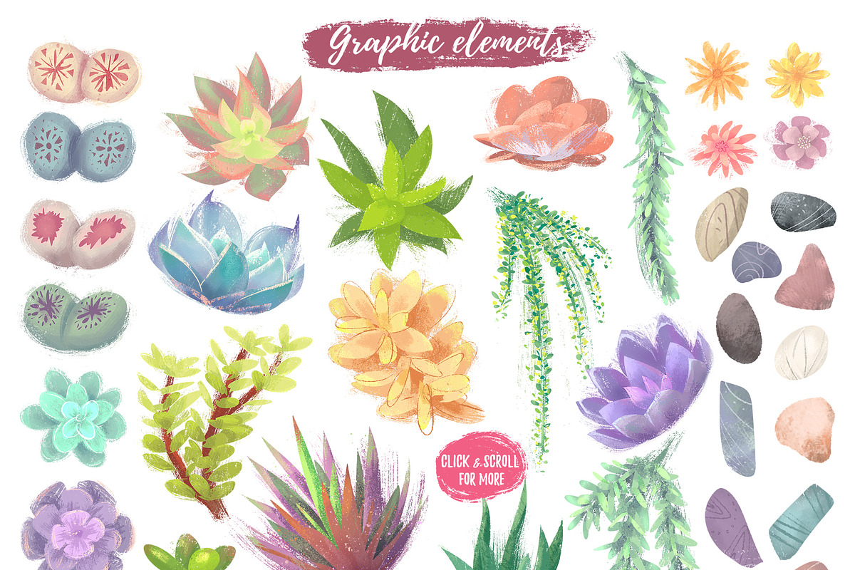 Succulent Joy clipart_SALE 50% OFF in Illustrations - product preview 8