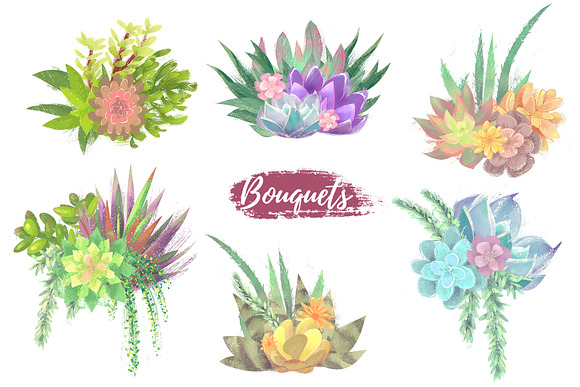 Succulent Joy clipart_SALE 50% OFF in Illustrations - product preview 1