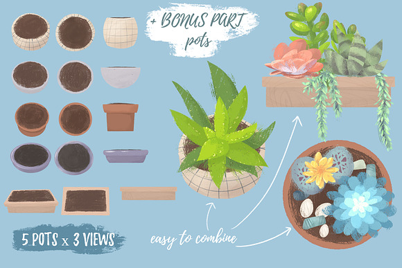 Succulent Joy clipart_SALE 50% OFF in Illustrations - product preview 4