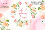 Blush Peach Sage flowers