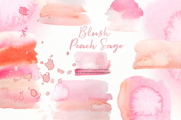 Blush Peach Sage flowers in Illustrations - product preview 3