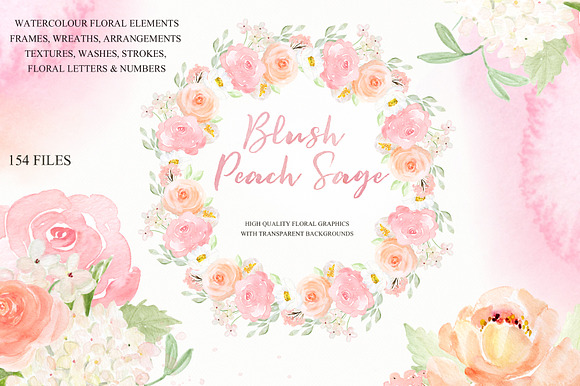 Blush Peach Sage flowers in Illustrations - product preview 5