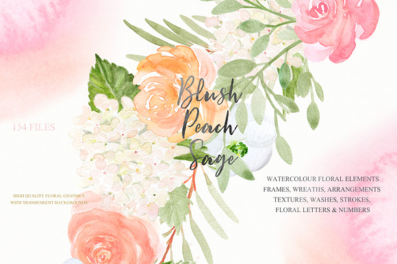 Blush Peach Sage flowers in Illustrations - product preview 6