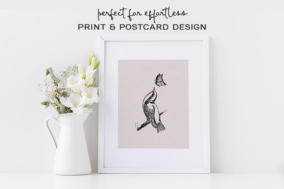 Birds & Plants Watercolor Set in Illustrations - product preview 1