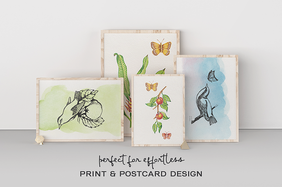 Birds & Plants Watercolor Set in Illustrations - product preview 2