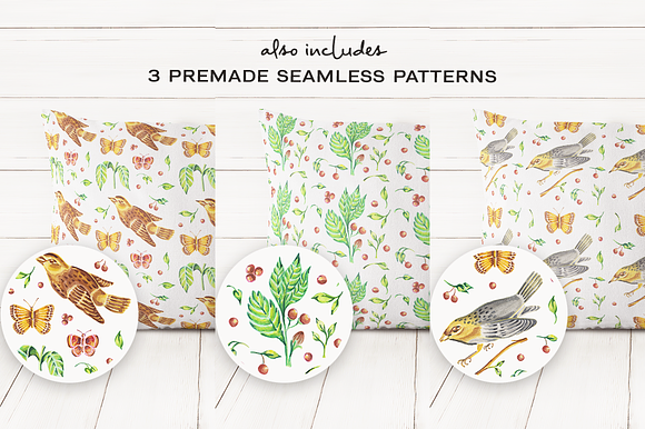Birds & Plants Watercolor Set in Illustrations - product preview 4