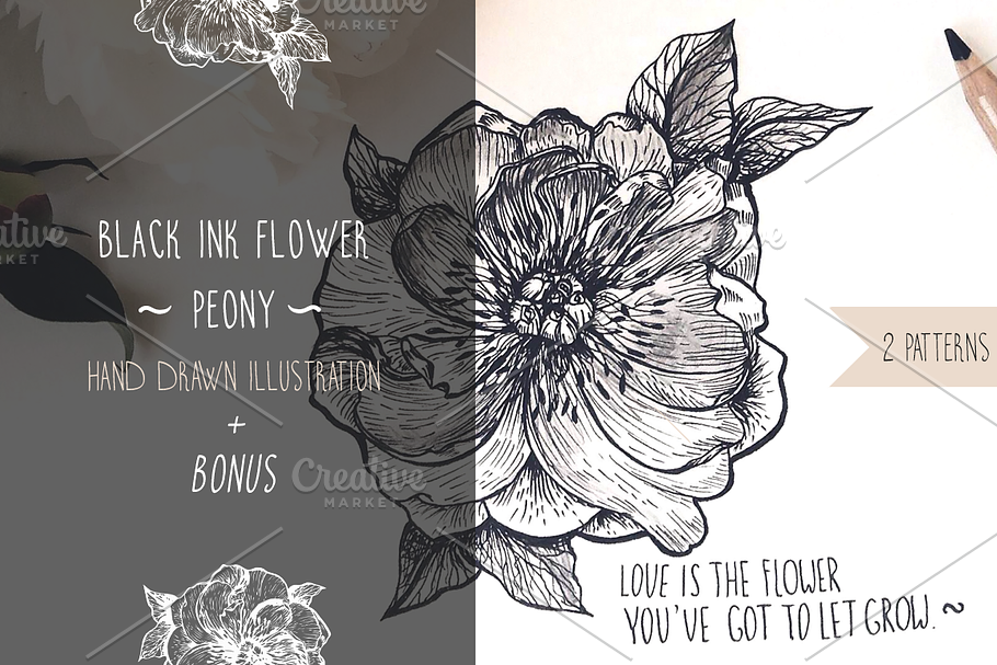 Hand sketched flower, ink peony