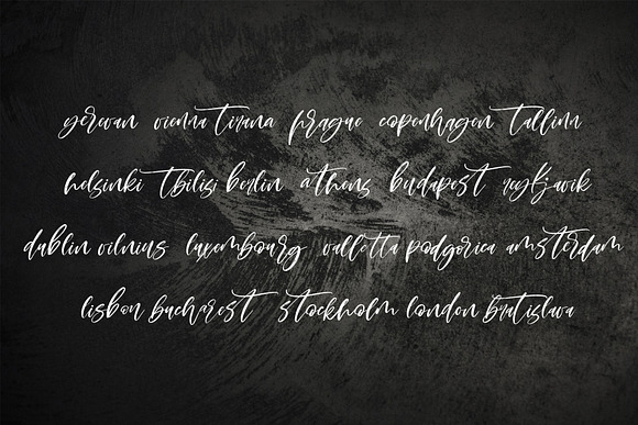 Montenegro.Textured script font in Script Fonts - product preview 14