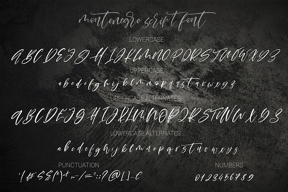 Montenegro.Textured script font in Script Fonts - product preview 16