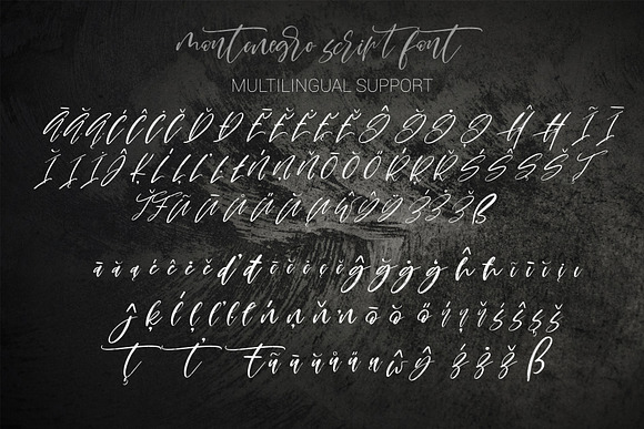 Montenegro.Textured script font in Script Fonts - product preview 18