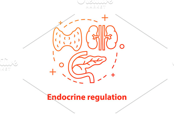 Endocrine regulation concept icon