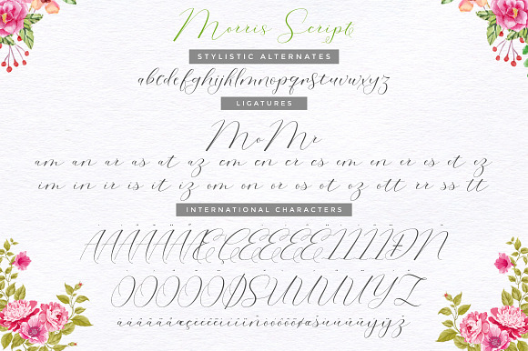 Morris Script | Font Duo in Script Fonts - product preview 10