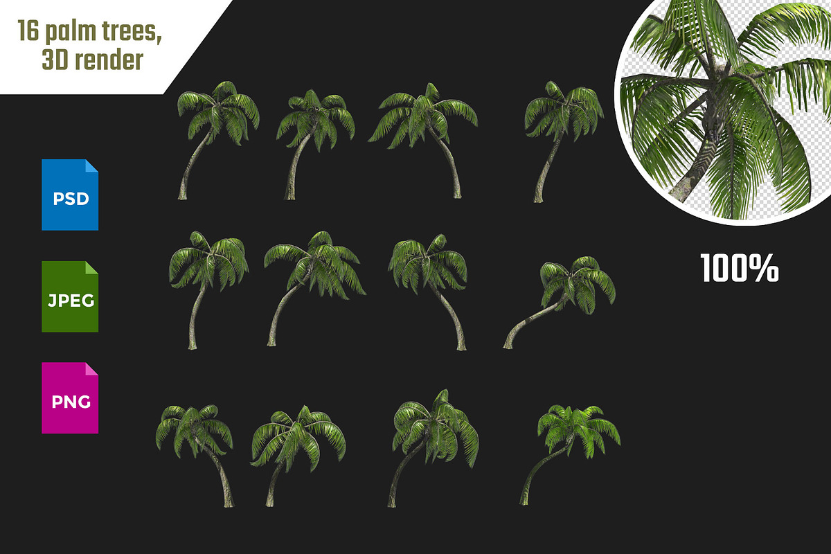 Sixteen palm trees, 3D render in Objects - product preview 8