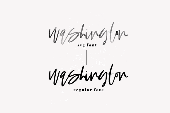 Washington - SVG & Solid Script Font in Script Fonts - product preview 3
