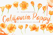 California Poppy Flower Watercolor