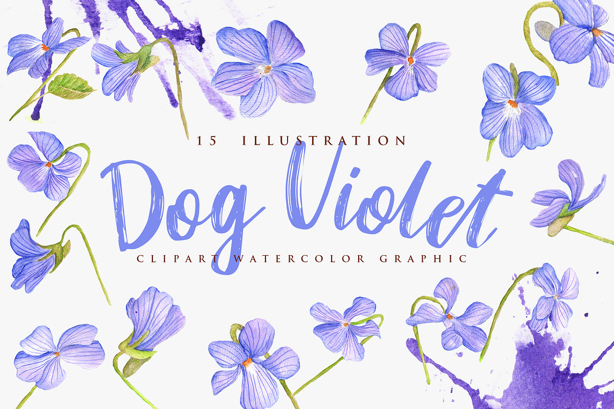 Dog Violet Flower Watercolor in Objects - product preview 8