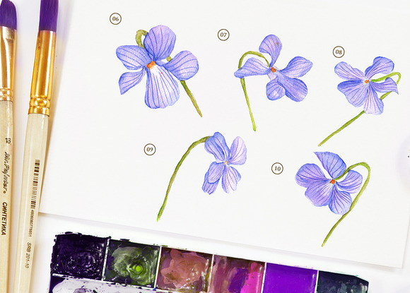 Dog Violet Flower Watercolor in Objects - product preview 2