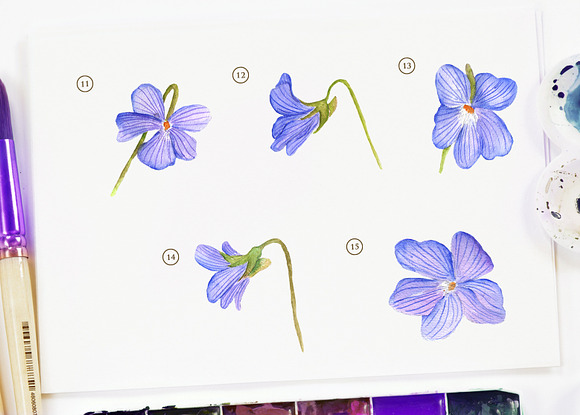 Dog Violet Flower Watercolor in Objects - product preview 3
