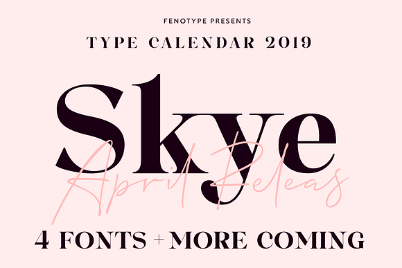 Type Calendar 2019 | Font Bundle in Display Fonts - product preview 26