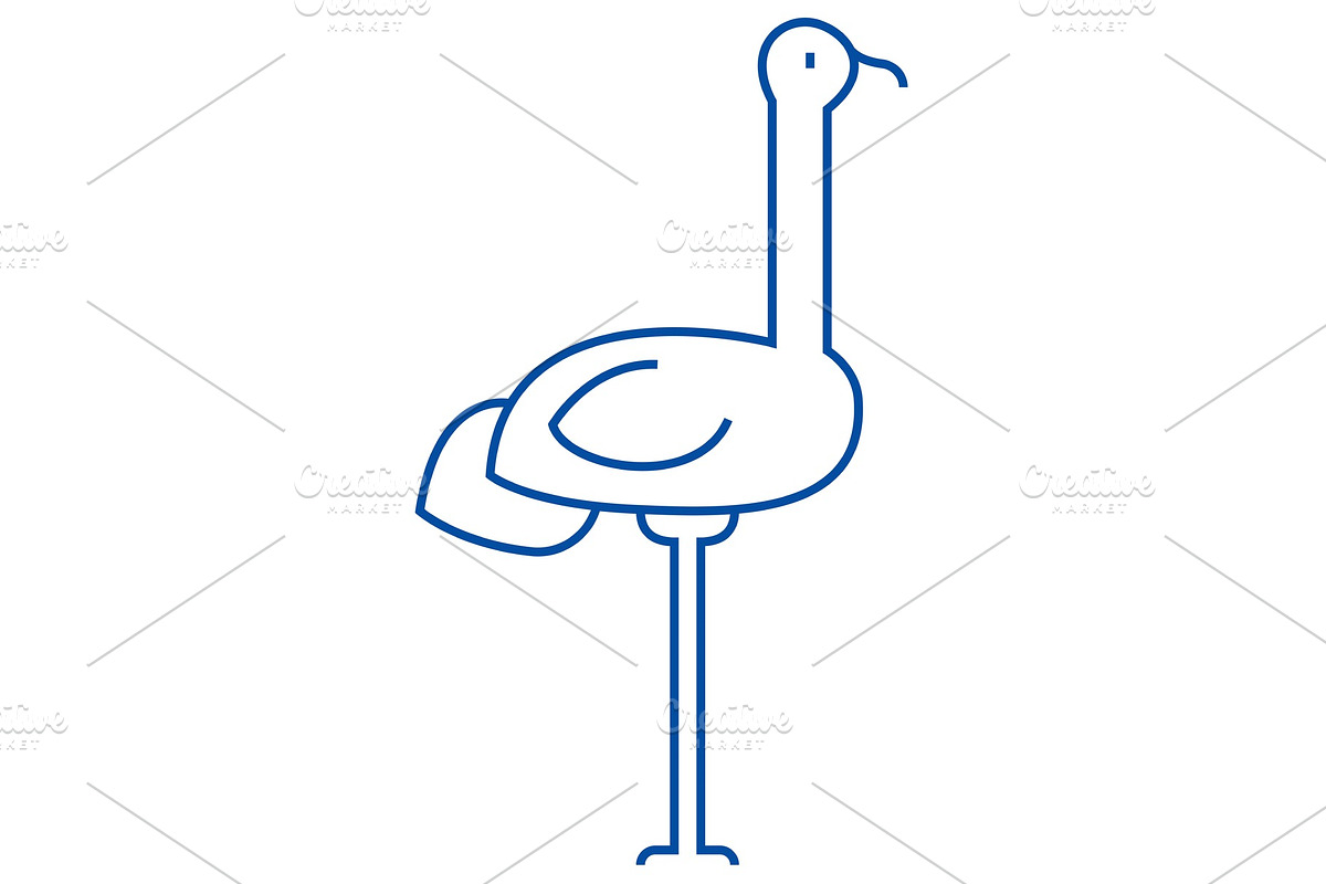 Heron line icon concept. Heron flat in Illustrations - product preview 8