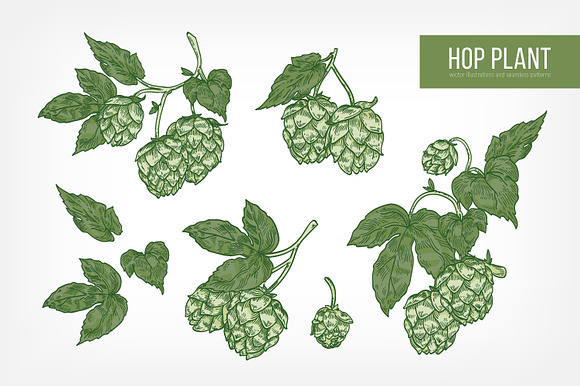 Hop set and seamless in Illustrations - product preview 2
