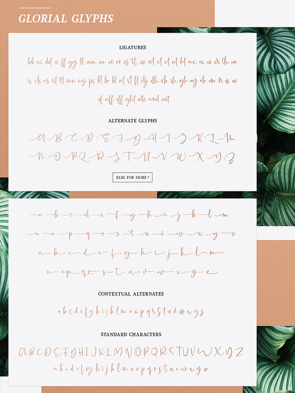 Glorial Font Duo | Script & Serif in Script Fonts - product preview 9