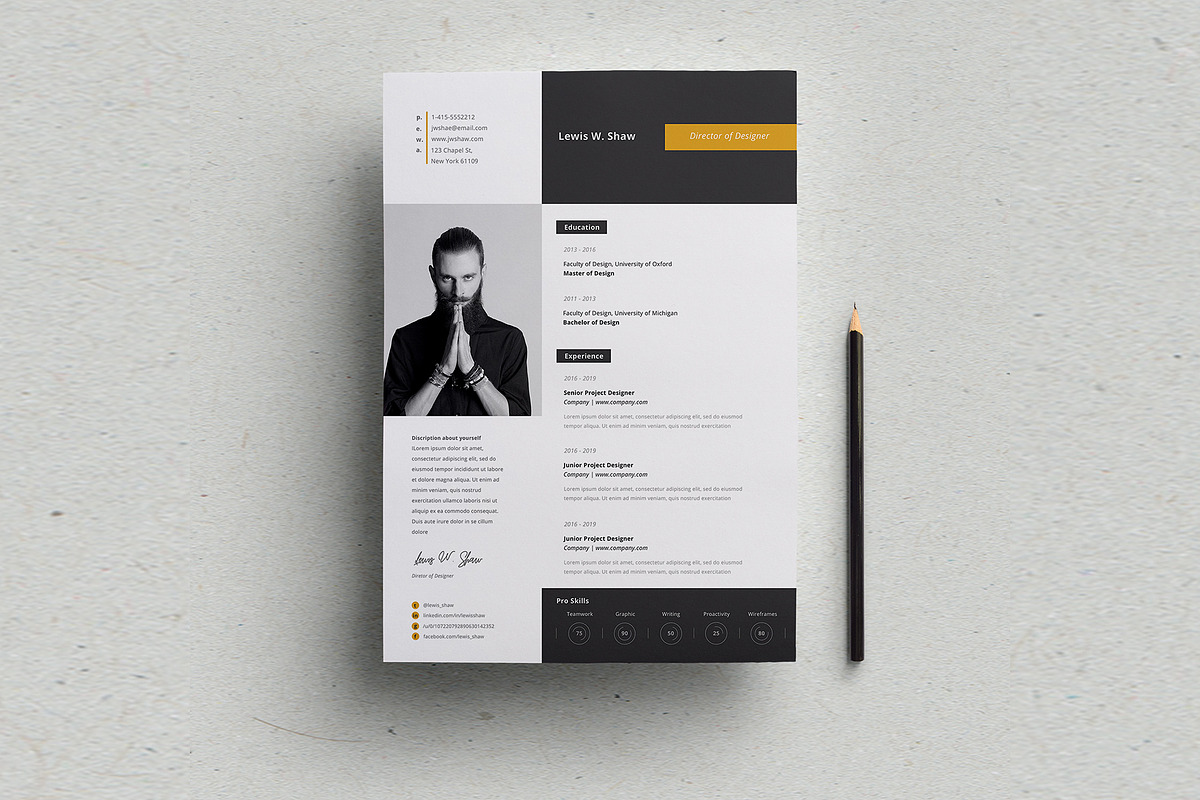 Delta Resume Template in Resume Templates - product preview 8