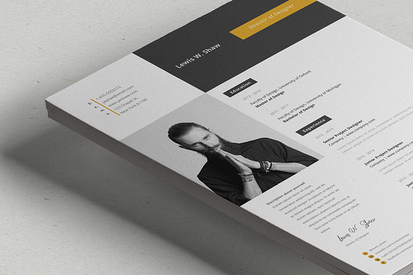 Delta Resume Template in Resume Templates - product preview 6