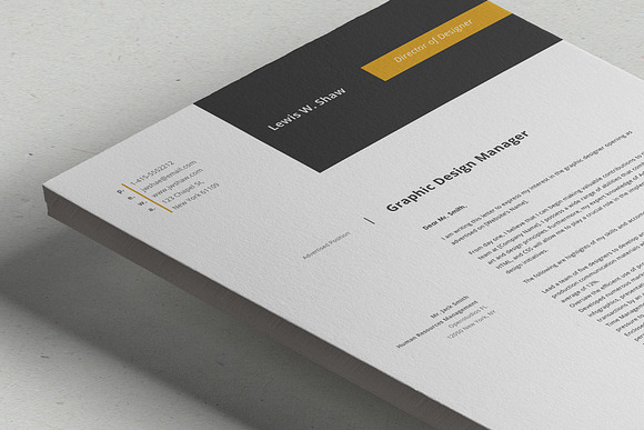 Delta Resume Template in Resume Templates - product preview 7