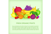 Fruits concept organic, cartoon