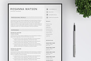 Resume Template / 4 Pages CV
