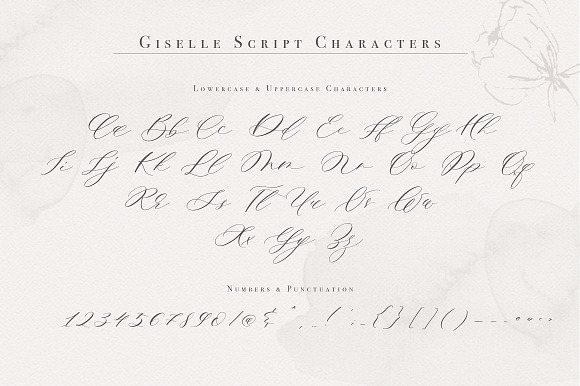Giselle Script in Script Fonts - product preview 14