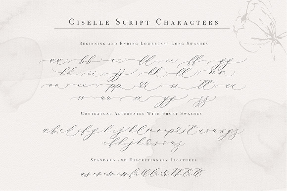 Giselle Script in Script Fonts - product preview 15