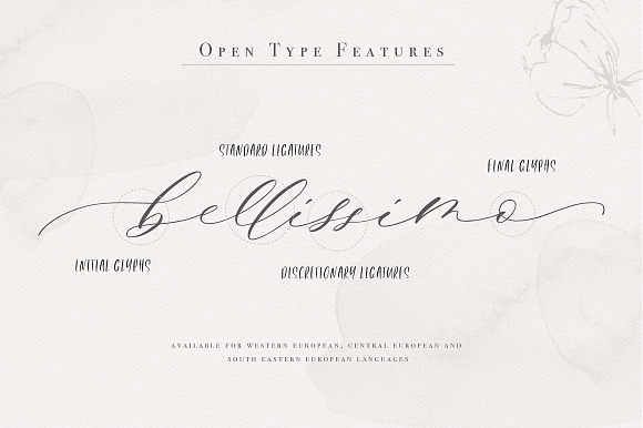 Giselle Script in Script Fonts - product preview 16