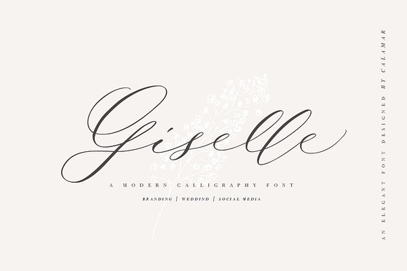 Giselle Script in Script Fonts - product preview 18