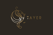 Tayer Logo Template