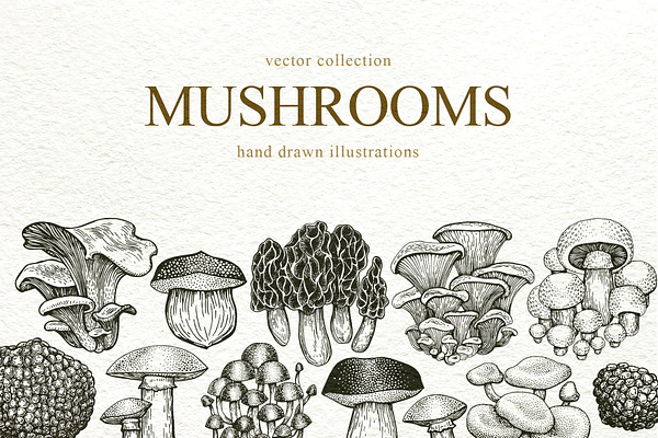 Mushrooms Vector Collection