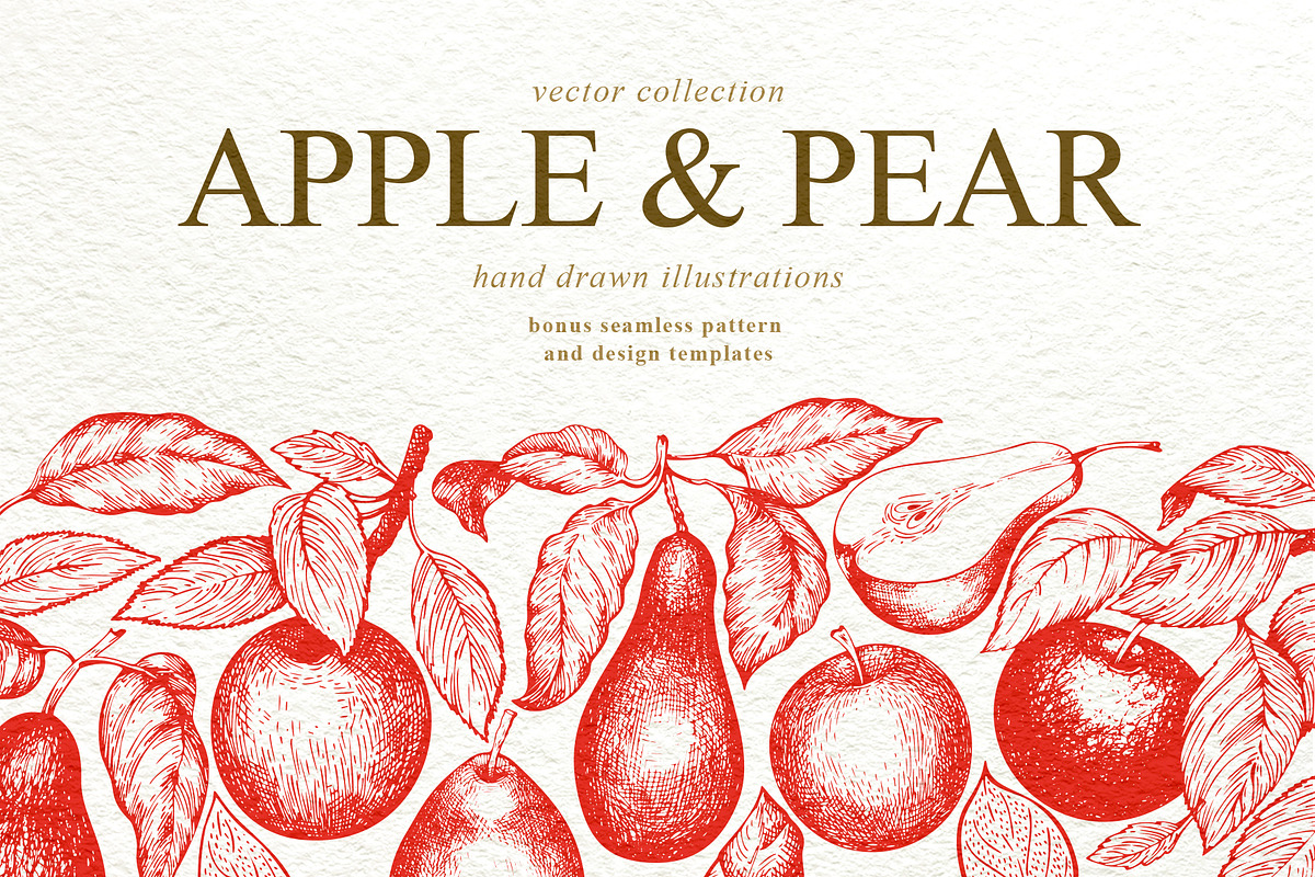 Apple & Pear Vector Collection in Illustrations - product preview 8