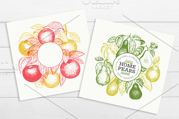 Apple & Pear Vector Collection in Illustrations - product preview 2