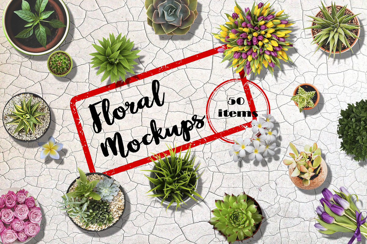 Floral Mockups. Flowers in pots ... in Mockup Templates - product preview 8