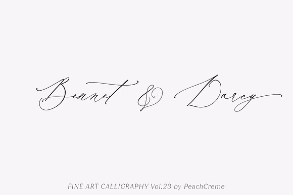Dostoevsky // Fine Art Font SALE!!! in Script Fonts - product preview 7