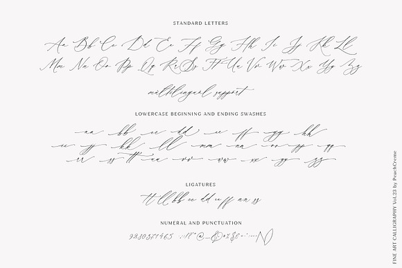 Dostoevsky // Fine Art Font SALE!!! in Script Fonts - product preview 12