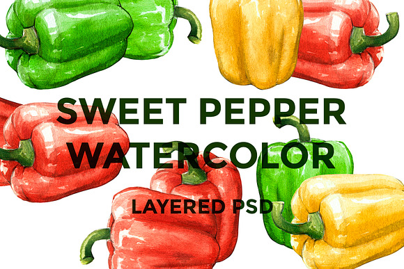 Sweet pepper watercolor in Illustrations - product preview 3