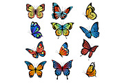 Colored butterflies. Vector pictures