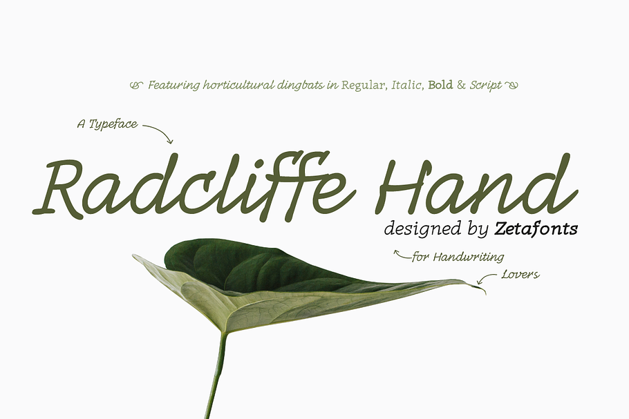 Radcliffe Hand - 7 fonts